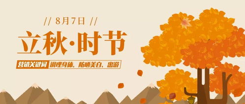 除了东京奥运会,8月还有这些营销热点